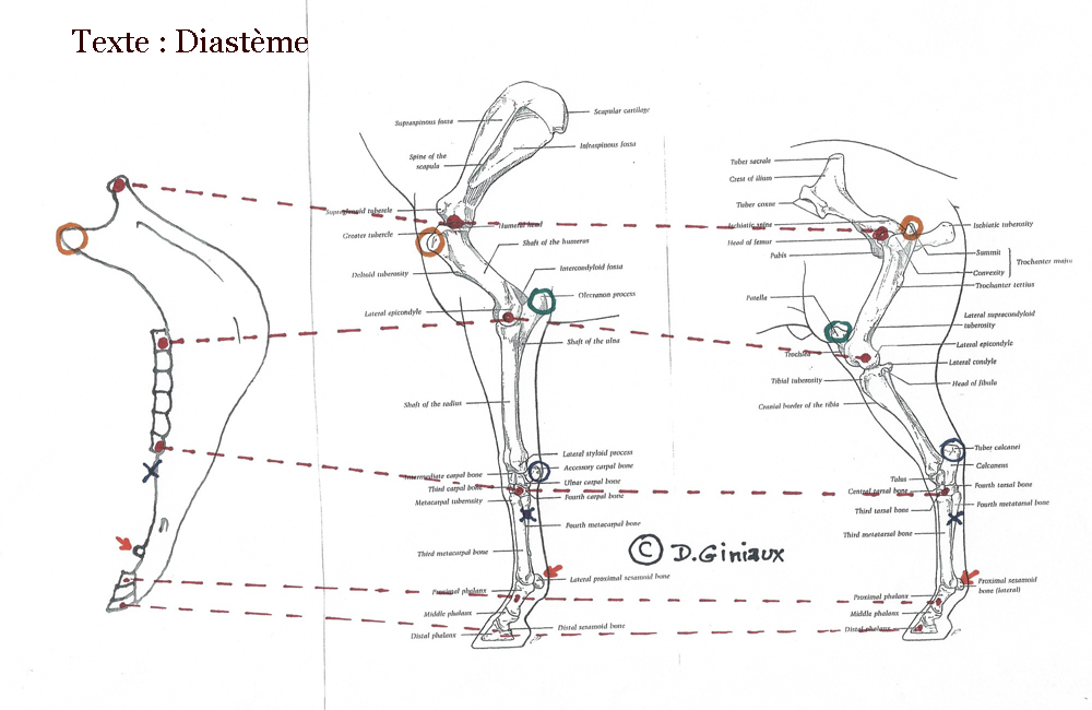 Cartes et Planches Site officiel de Dominique Giniaux 1944 2004